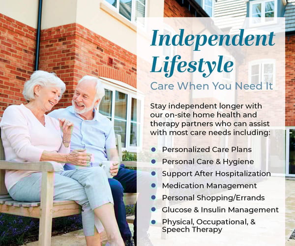 WMC-0211-Web-Graphic_Care-Options_March-2023-1